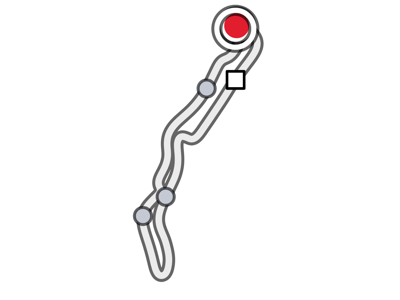 Track map drawn from GPS, with your position and the start/finish line
